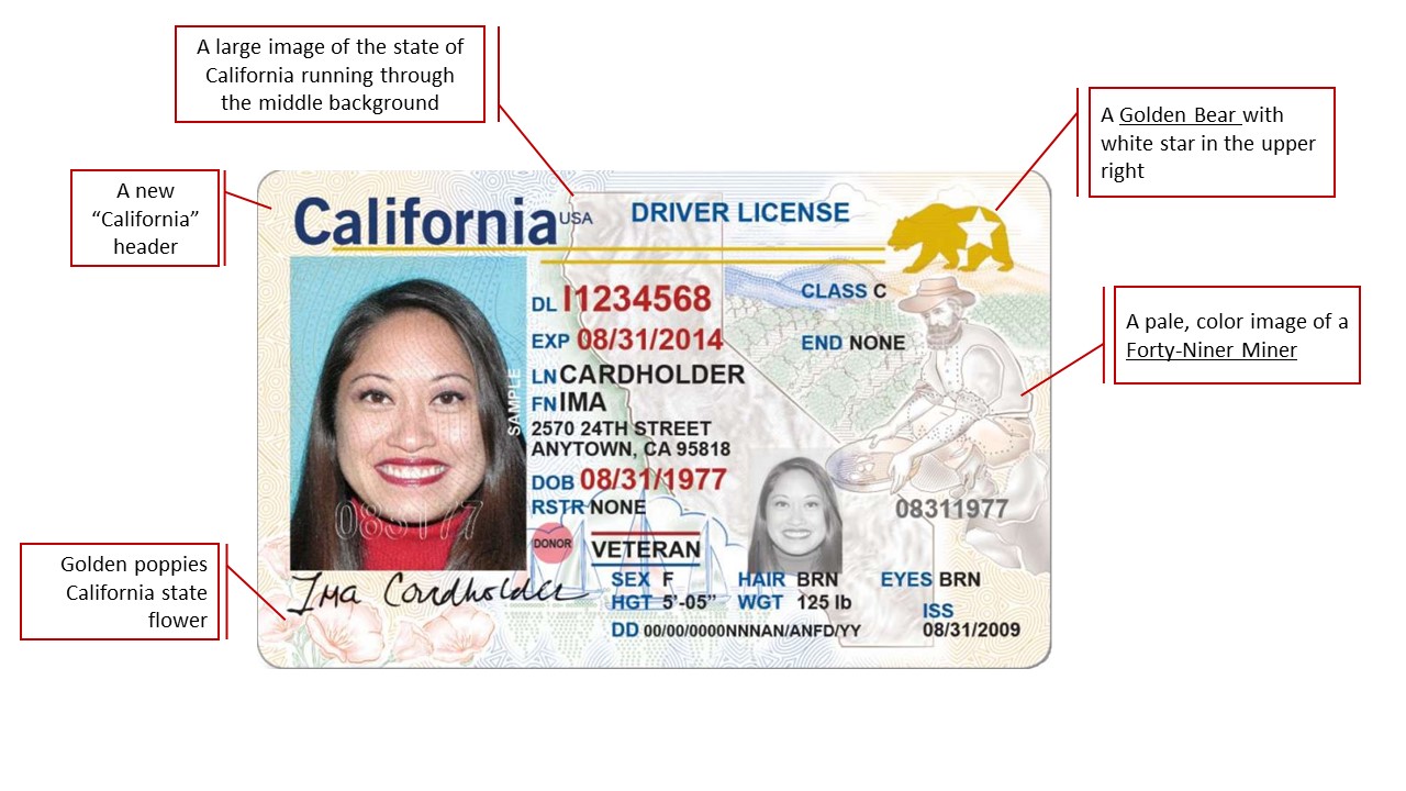 dmv-california-license-renewal-darelosimply
